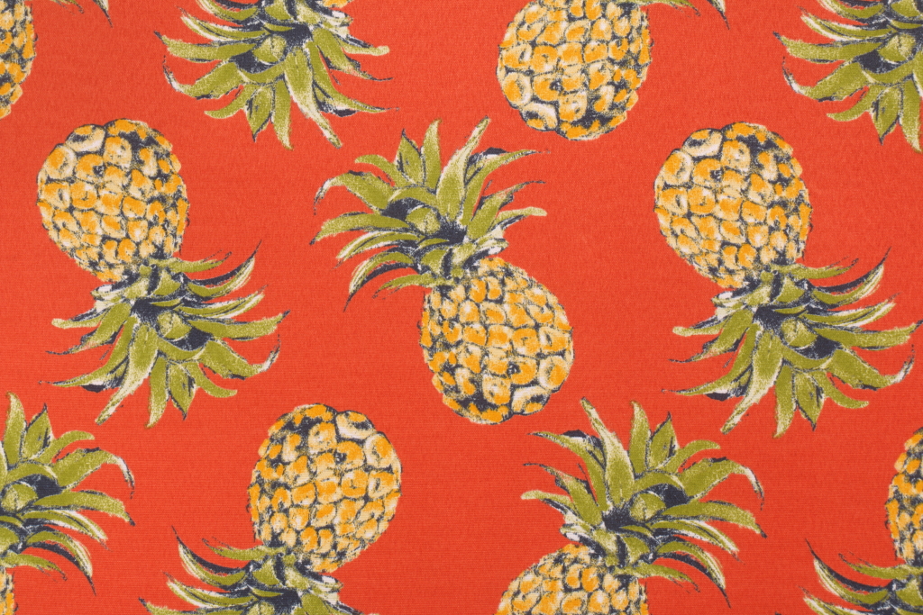 Richloom Pineapples Printed Polyester Outdoor Fabric in Orange