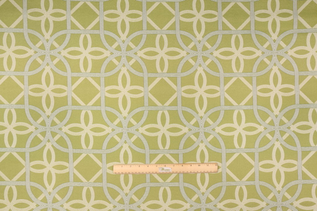 Richloom Keene Printed Polyester Outdoor Fabric in Kiwi