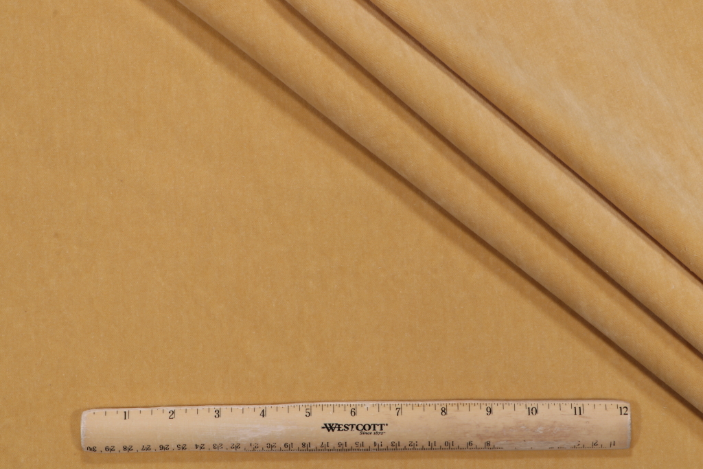 Leslie Jee Textiles Ritz Velvet Upholstery Fabric in Spotlight