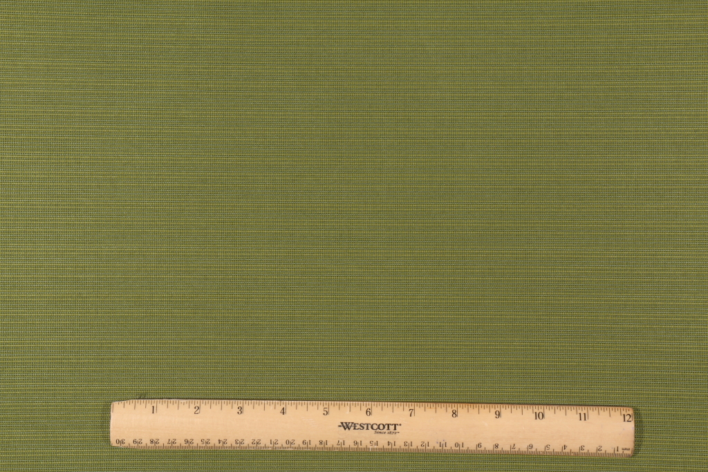 Terrasol La Playa Woven Olefin Outdoor Fabric in Grass