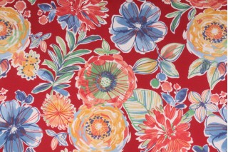 Richloom Colsen Printed Polyester Outdoor Fabric in Berry 