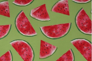 Richloom Melon Printed Polyester Outdoor Fabric in Citrus 