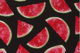 Richloom Melon Printed Polyester Outdoor Fabric in Noir 