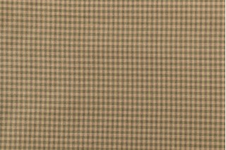 Onyx Age Silk Check Decorator Fabric in Juniper 