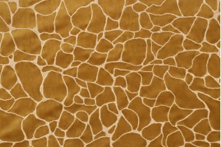 Covington Dare Velvet Decorator Fabric in 89-Sulfur 