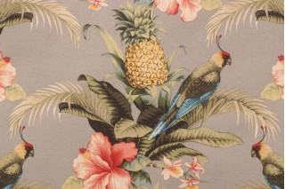 Tommy Bahama Beach Bounty Printed Polyester Outdoor Fabric in Tangelo 