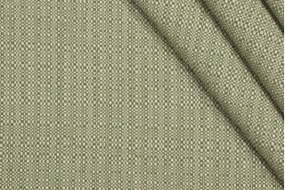 Crypton Shugs High Performance Woven Upholstery Fabric in Moss 