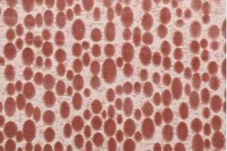Hamilton Finch Velvet Upholstery Fabric in Cameo 