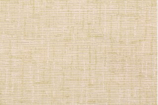 Bella Dura Home Duplin Latex Backed Woven High UV Polyester Outdoor Fabric in Dill