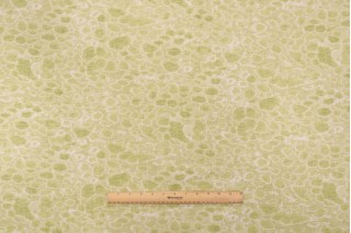 Foshan Nanfang Kalahari Printed Drapery Fabric in Apple 
