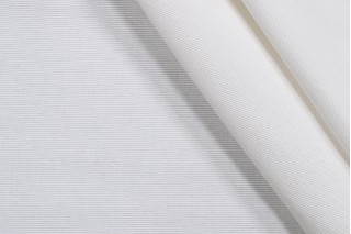Robert Allen Outdoor Ribbed Woven Solution Dyed Acrylic Outdoor Fabric in Au Natural