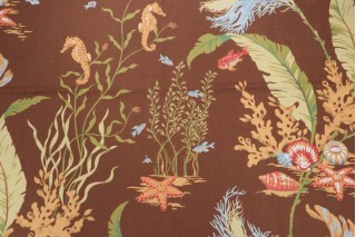 Thibaut Tidal Pool F96706 Printed Cotton Drapery Fabric in Brown