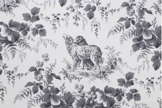 Thibaut Pedigree F99720 Printed Cotton Drapery Fabric in Black and Cream