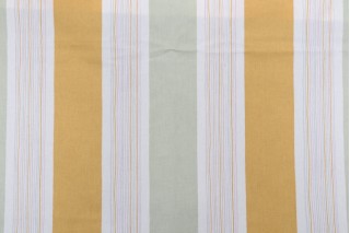 Thibaut Randi Printed Cotton Drapery Fabric in Multicolor for Scalamandre