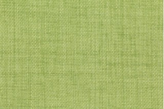 Richloom Rave Woven Polyester Outdoor Fabric in Lawn 