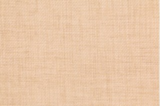 Richloom Rave Woven Polyester Outdoor Fabric in Birch 