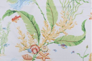 Thibaut Tidal Pool F96701 Printed Cotton Drapery Fabric in White