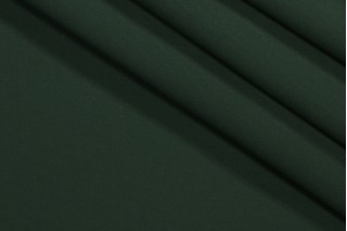 Tempotest Solid Woven Solution Dyed Acrylic Outdoor Fabric in Hunter
