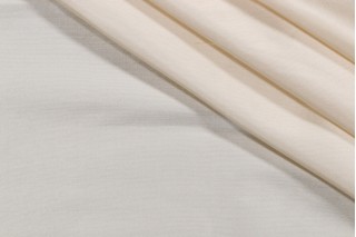 Titan Silk Decorator Fabric in Ivory