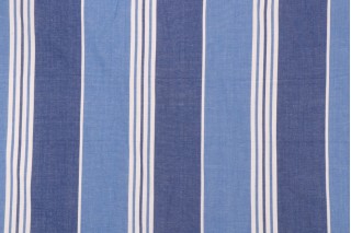 Onyx Age Woven Stripe Woven Cotton Decorator Fabric in Blue/White