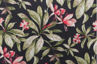PK Lifestyles Orchid Valley Printed Polyester Outdoor Fabric in Ebony 