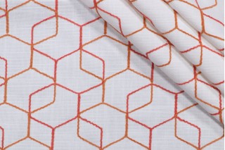 Leipsic Chenille Embroidered Outdoor Fabric in Coral