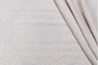 Naveen Embroidered Drapery Fabric in Natural