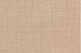 Richloom Rave Woven Polyester Outdoor Fabric in Sand