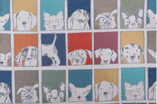 Mill Creek Ultimut Tapestry Upholstery Fabric in Multi 