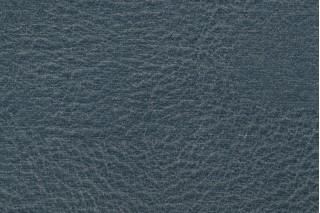 Richloom Fortress Hewlett High Performance Woven Upholstery Fabric in Pond