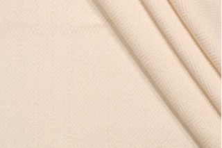 Roth & Tompkins Inverness Woven Decorator Fabric in Snow Flake
