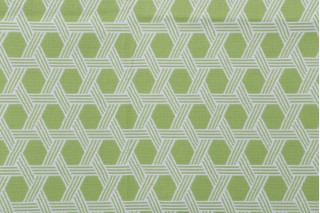 Lillian August Home Bianca Woven Solution Dyed Acrylic Outdoor Fabric in Kiwi for Terrasol 