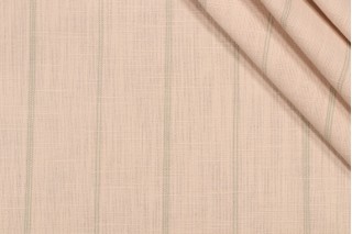 Richloom Fritz Woven Upholstery Fabric in Spa