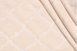 Richloom Koppel Embroidered Drapery Fabric in Ivory