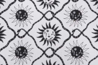 Elana Gabrielle Sol Embroidered Drapery Fabric in Coal 