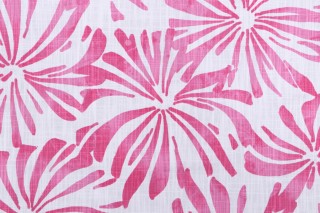 Premier Prints Aria-Slub Canvas Printed Cotton Drapery Fabric in Flamingo 