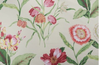 Thibaut Edgartown Printed Cotton Drapery Fabric in Cream F94712