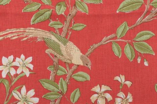 Thibaut Neuman F94706 Printed Drapery Fabric in Pink