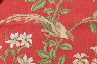 Thibaut Neuman F94706 Printed Drapery Fabric in Pink