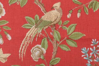 Thibaut Neuman F94706 Printed Drapery Fabric in Pink