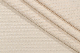 Thibaut Cotton Tails W99230 Upholstery Fabric in Cream