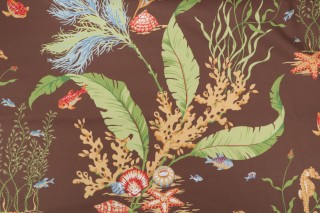 Thibaut Tidal Pool Printed Cotton Drapery Fabric in Brown F96706