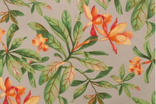 PK Lifestyles Orchid Valley Printed Polyester Outdoor Fabric in Putty