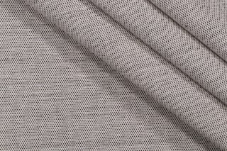 Crypton Gamble High Performance Woven Upholstery Fabric in Domino 