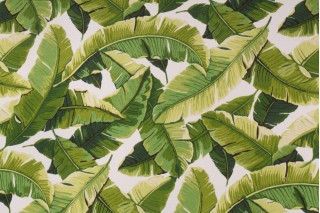 Richloom Balmoral Printed Polyester Outdoor Fabric in Palm