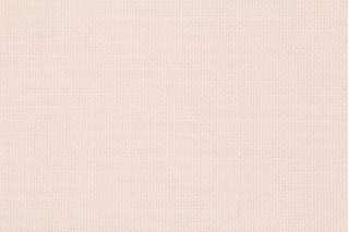 Essential Solution Dyed Acrylic Outdoor Fabric in Ivory