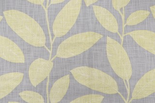 Thibaut Komodo Leaves F95713 Printed Drapery Fabric in Grey and Green
