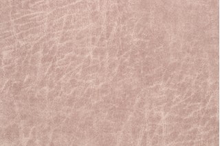 Kaufmann Trek Velveteen Upholstery Fabric in Oyster