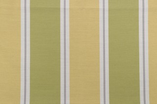 1 Yard Richloom Drummond Woven Solution Dyed Acrylic Outdoor Fabric in Citrus