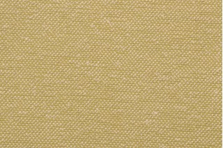 Pindler & Pindler Bloodfield Woven Solution Dyed Acrylic Outdoor Fabric in Kiwi